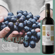 Load image into Gallery viewer, Terroir 2016 - Château Les Graves de Viaud - La Colombine